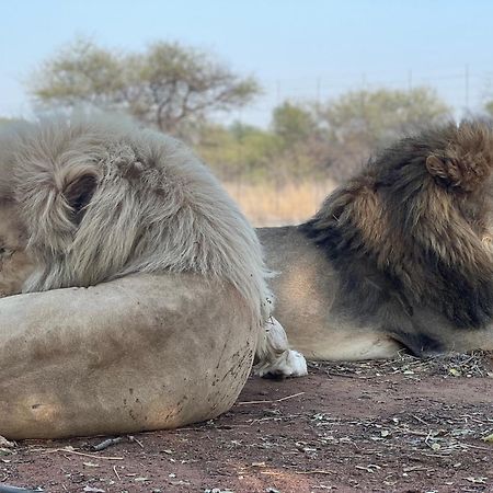 Simba Safaris African Pride Exotic Lodge Lephalale Ngoại thất bức ảnh