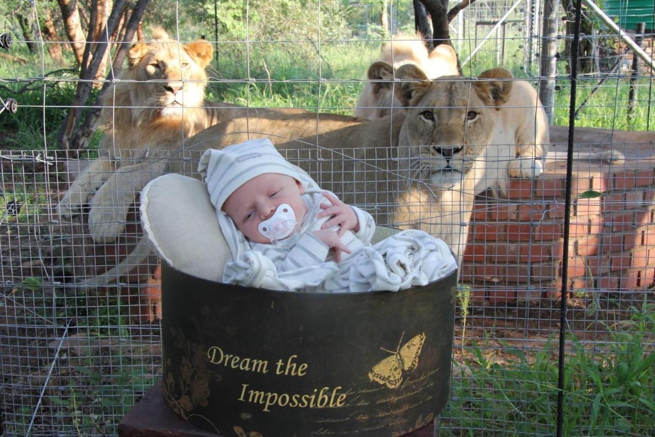 Simba Safaris African Pride Exotic Lodge Lephalale Ngoại thất bức ảnh