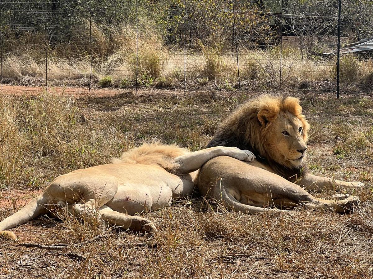 Simba Safaris African Pride Exotic Lodge Lephalale Ngoại thất bức ảnh