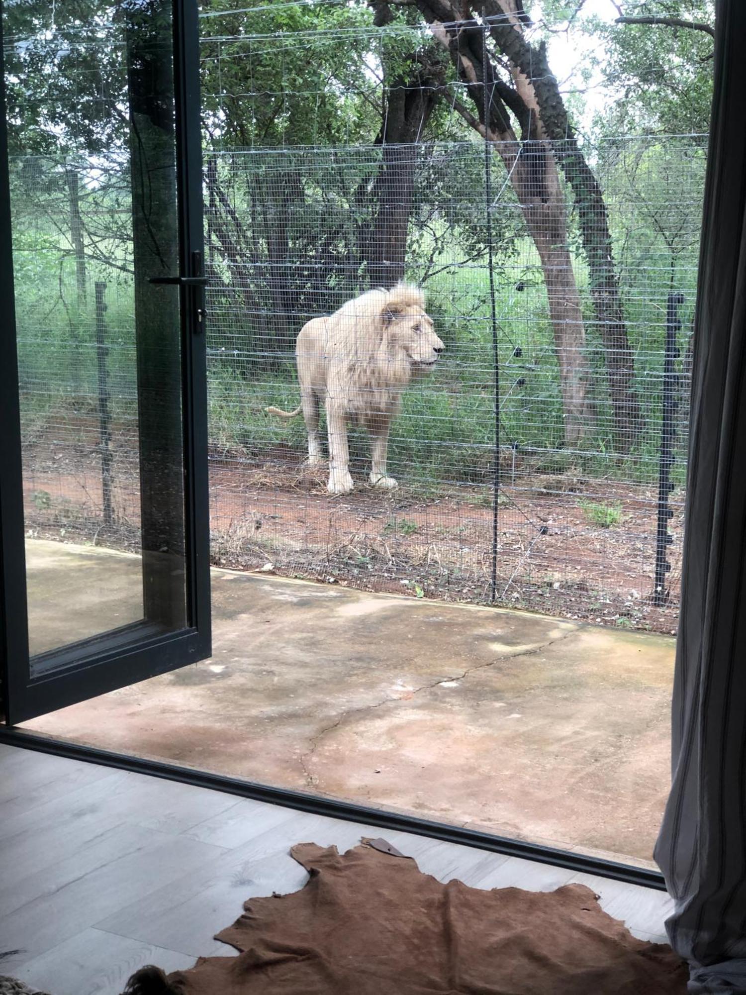 Simba Safaris African Pride Exotic Lodge Lephalale Ngoại thất bức ảnh