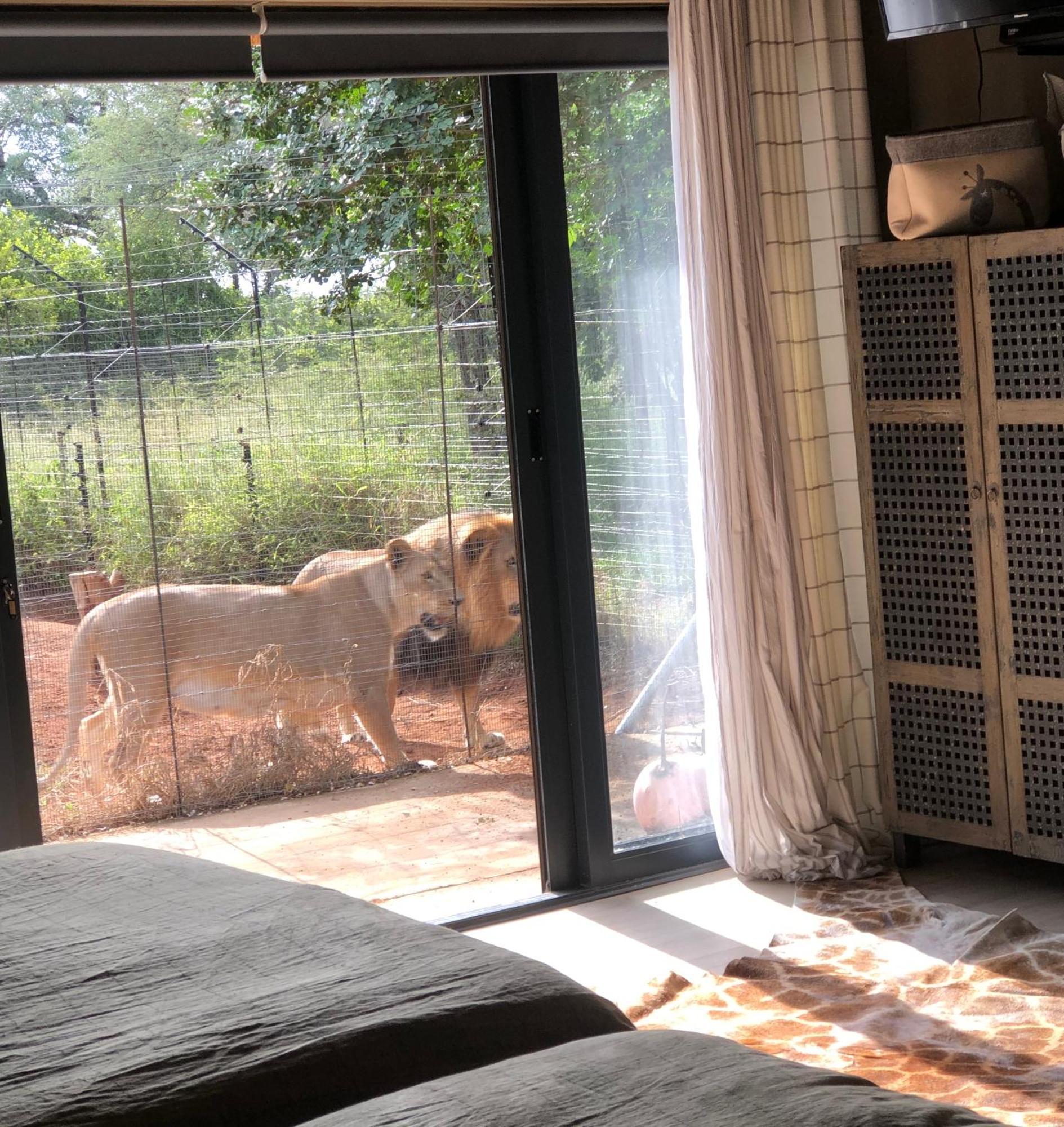 Simba Safaris African Pride Exotic Lodge Lephalale Ngoại thất bức ảnh