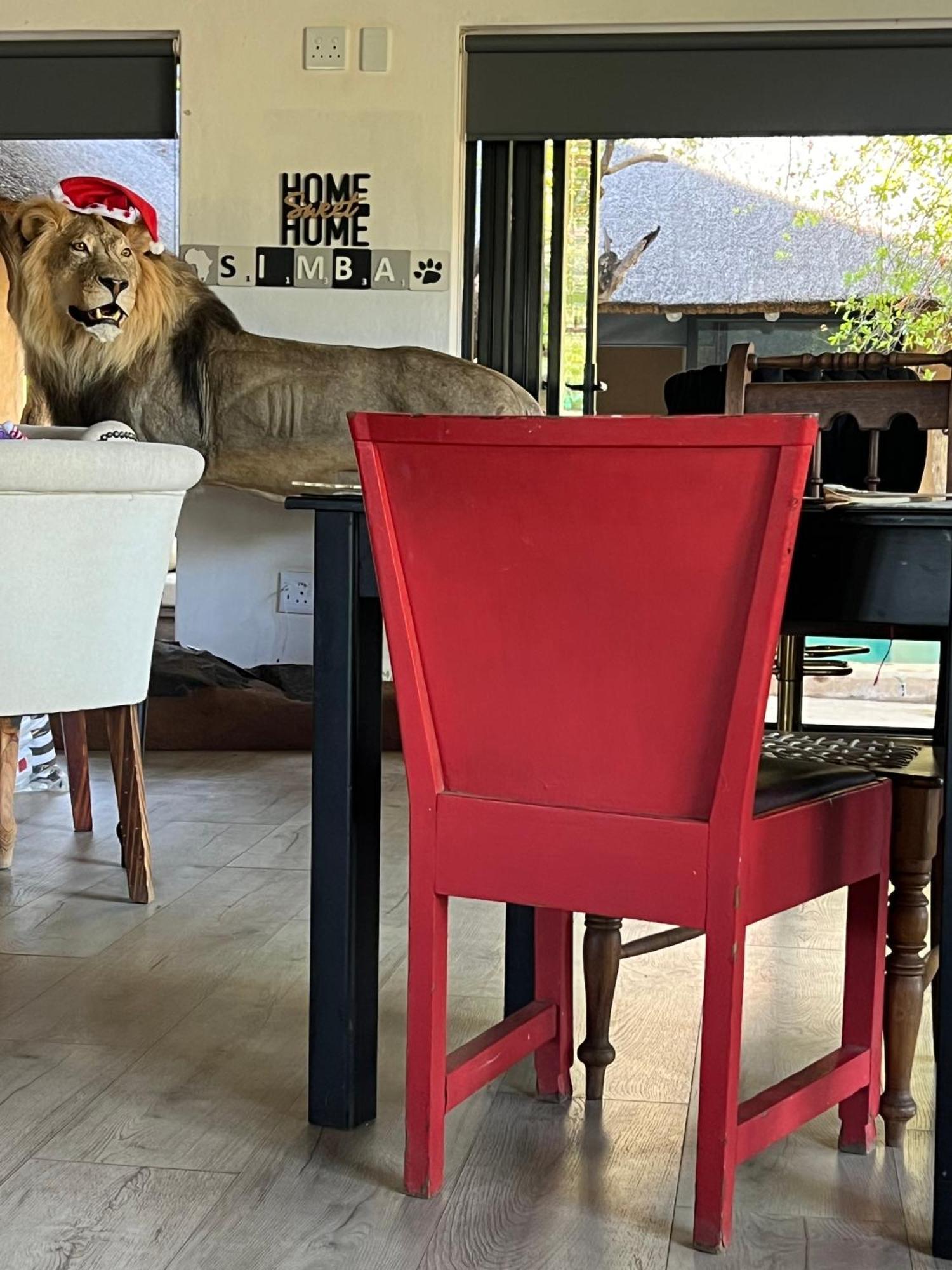 Simba Safaris African Pride Exotic Lodge Lephalale Ngoại thất bức ảnh